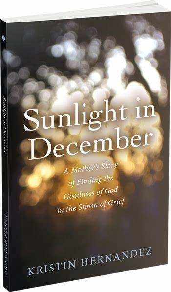 Sunlight in December book