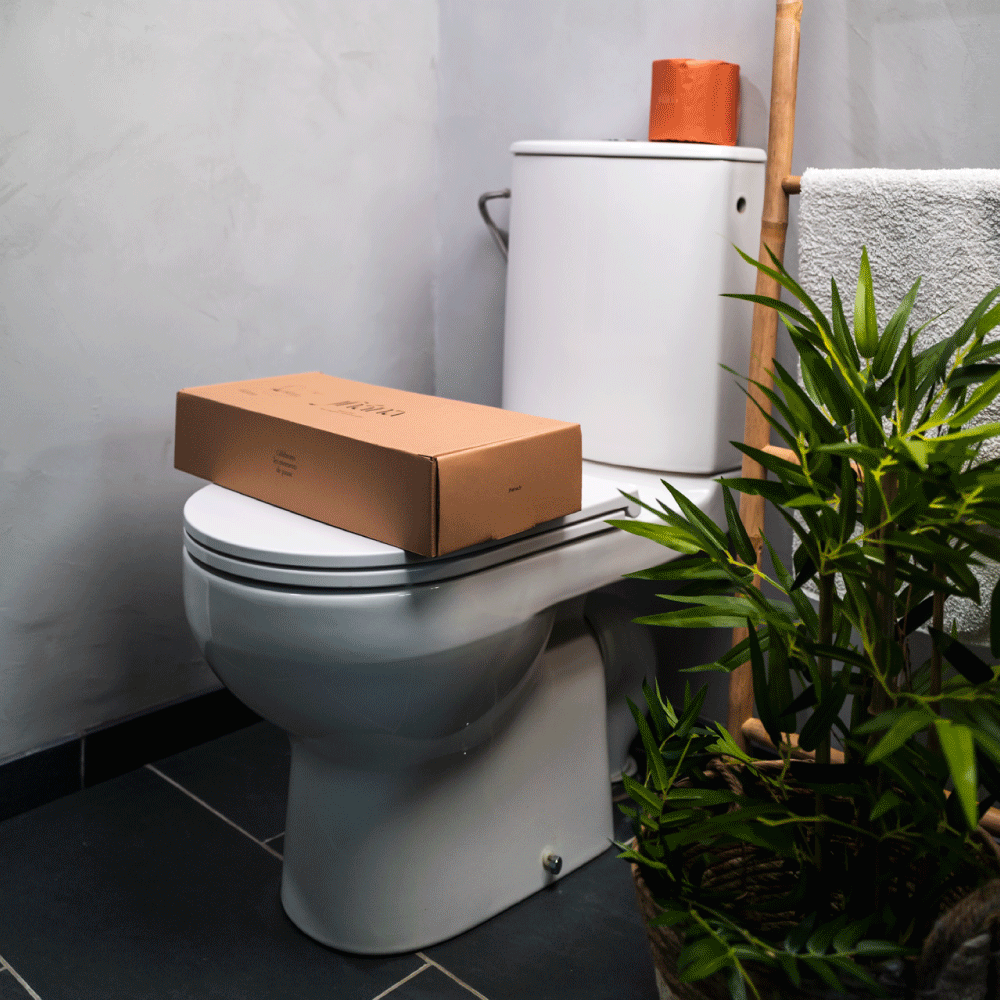 Qu'est-ce qu'un WC japonais ? : Le bidet Jhana, l'innovation pour votr