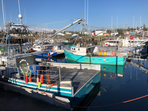 Boats at Camp Cove wharf, Argyle, Nova Scotia