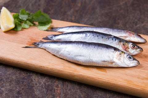 Pilchards and Cornish Sardines