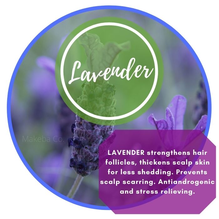 LAVENDER