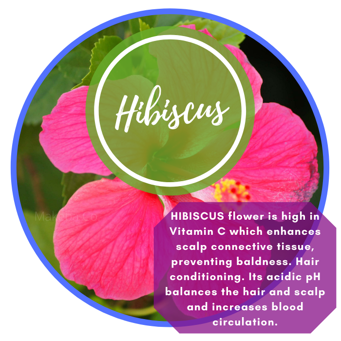 HIBISCUS