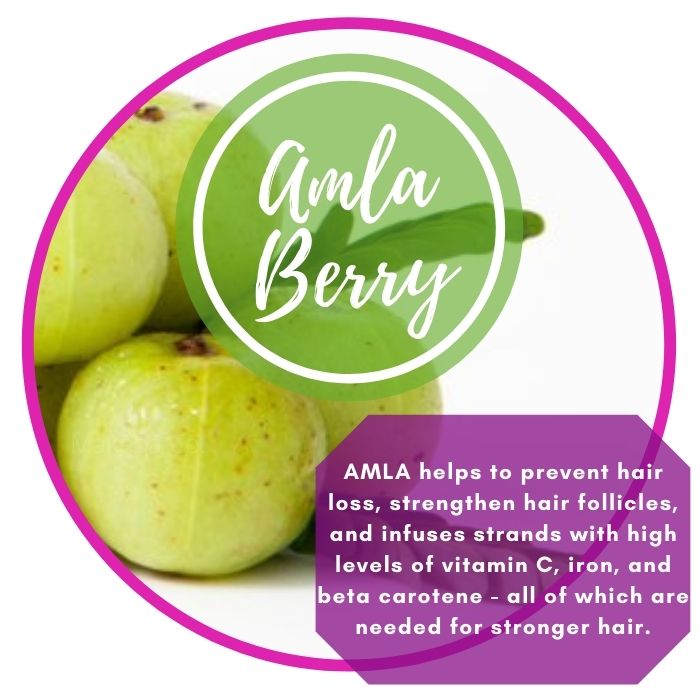 AMLA BERRY