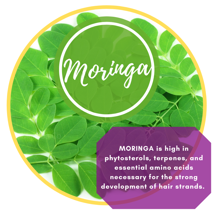 MORINGA