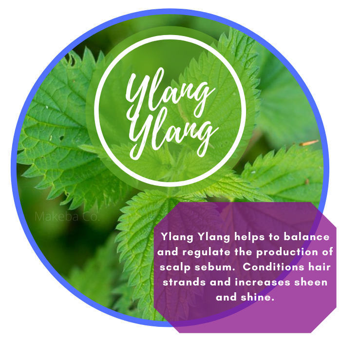 YLANG YLANG