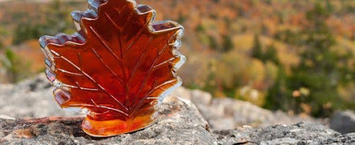 maple leaf maple syrup bottle