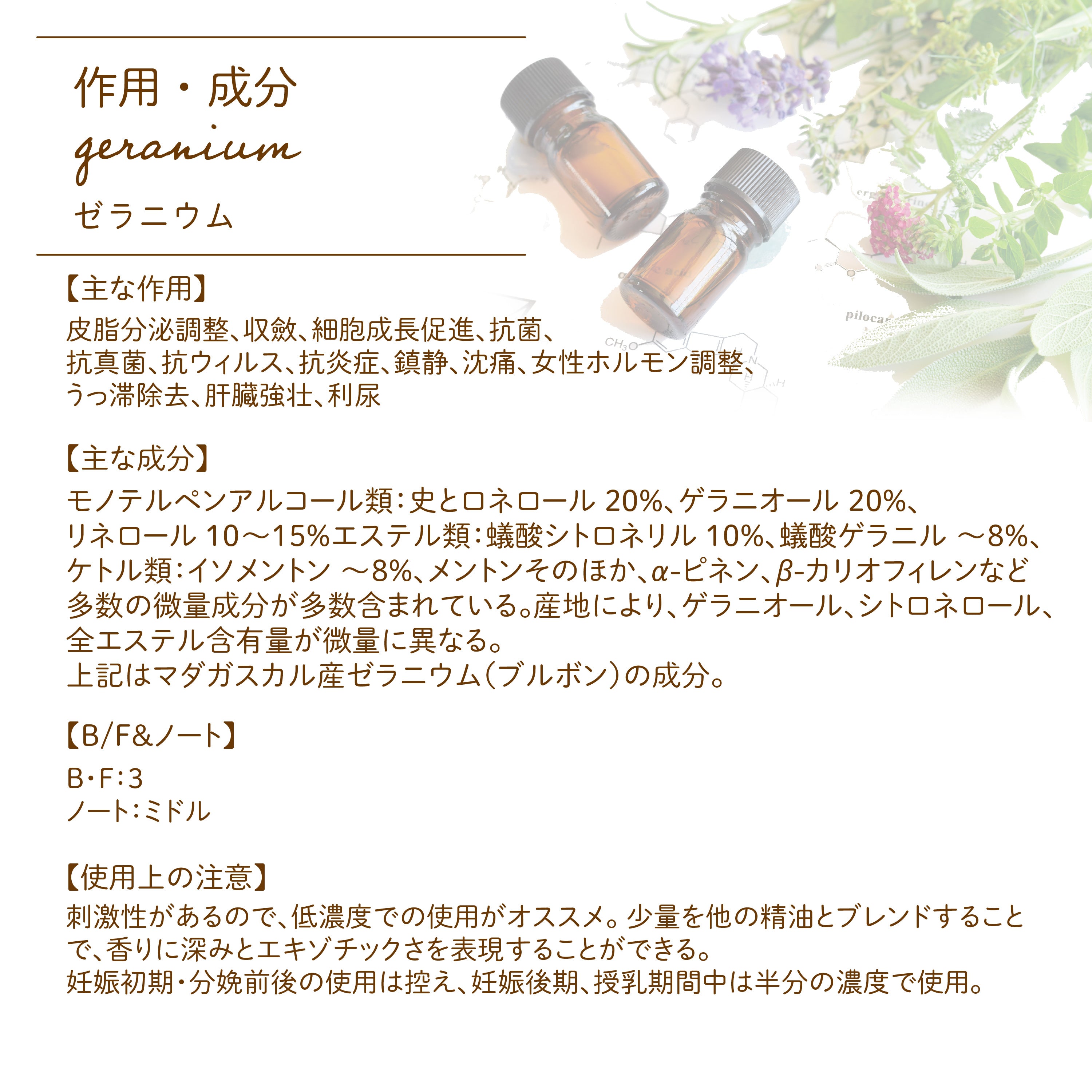 Botanical Lab アロマエッセンシャルオイル ゼラニウム 10ml セラピーグレード アロマテラピー Botanical Labo