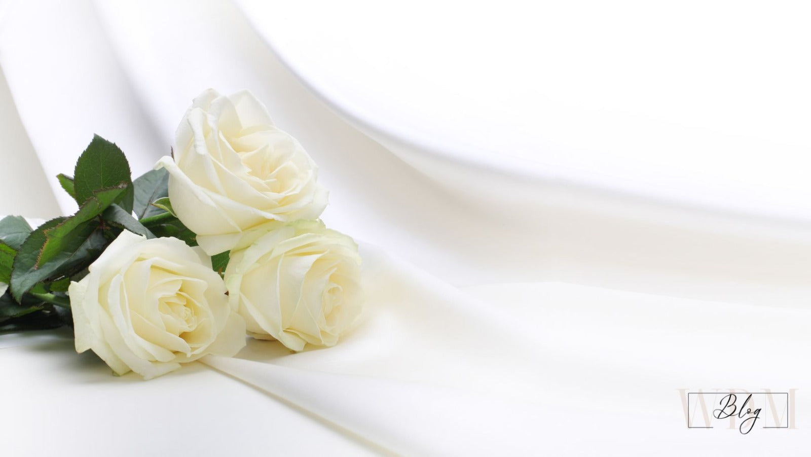 White Roses in Silk cloth