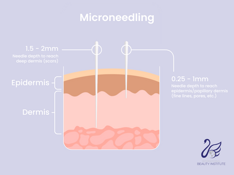 Microneedling training online infographic showing the microneedling depth of the skin