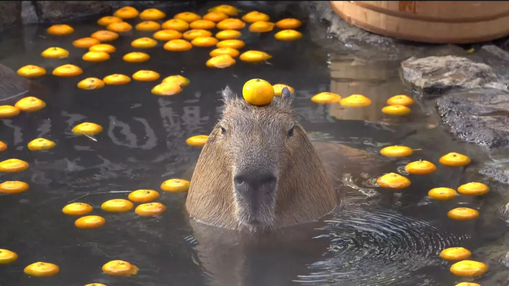 bathing with fruit