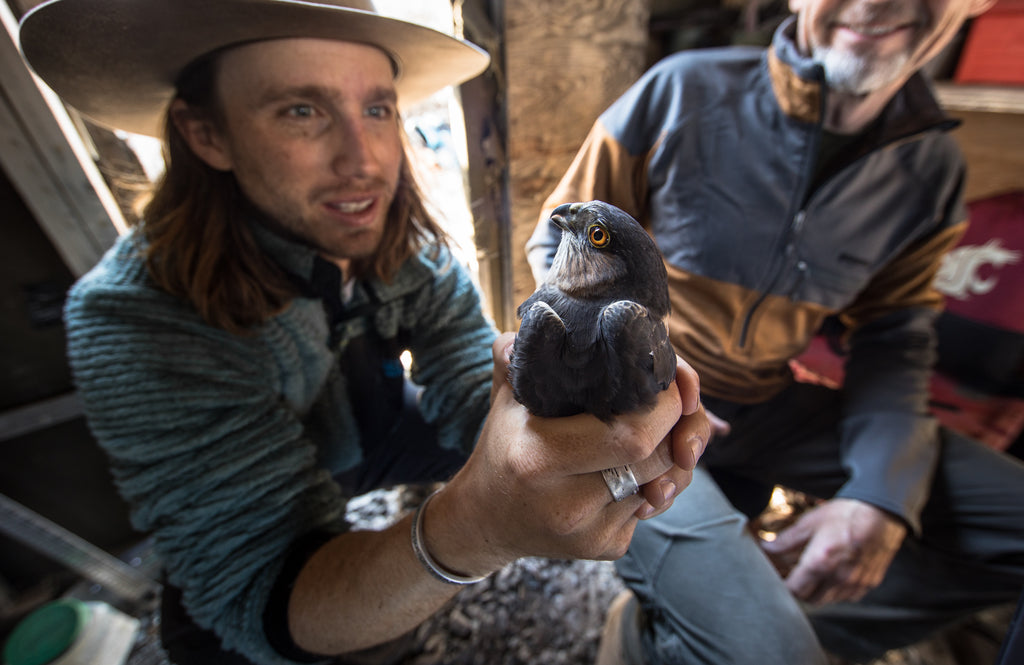 Ecologist Charles Post holding a bird.