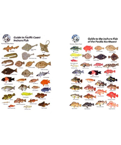 Fish ID Slates And Waterproof Guides – Watersports Warehouse