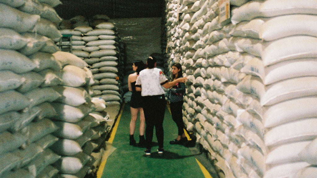 Three people standing between tall stacks of coffee bean bags