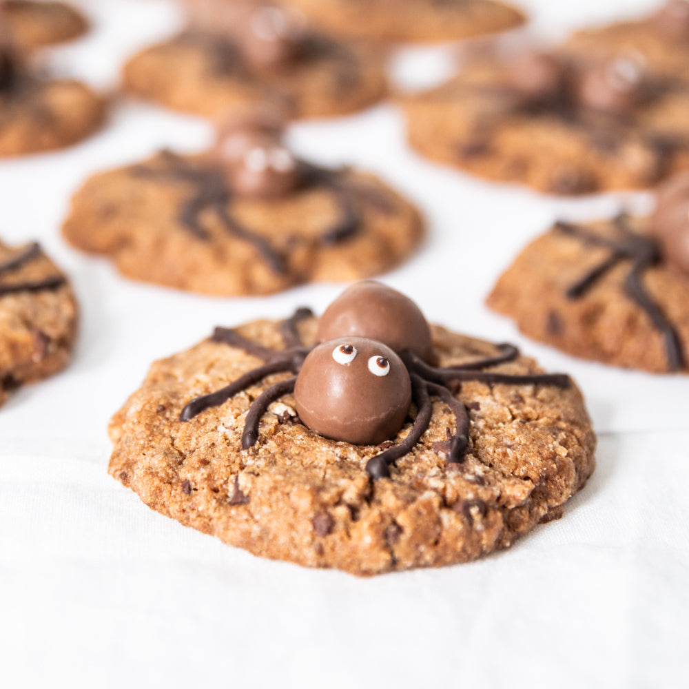 Chocolate Spider Cookies