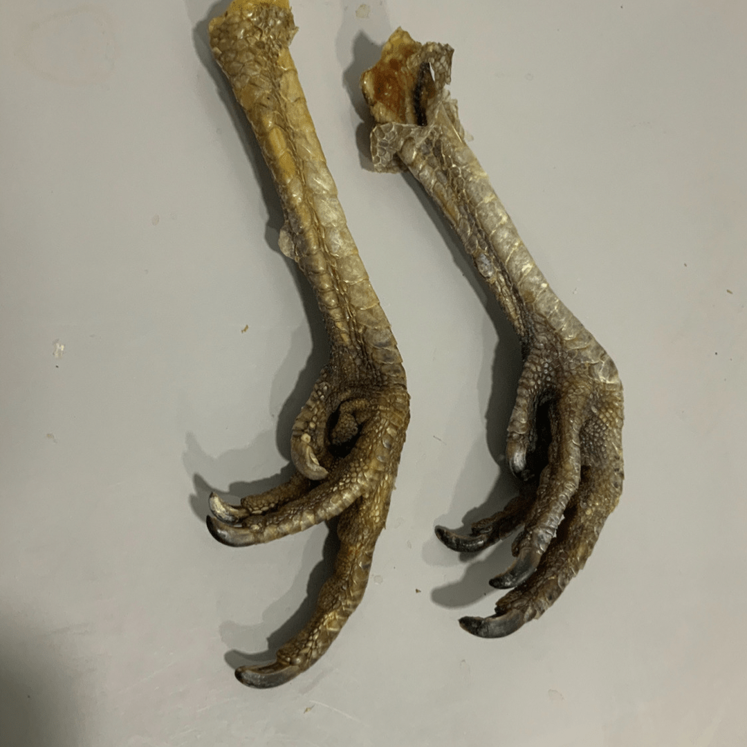 dehydrated turkey feet for dogs