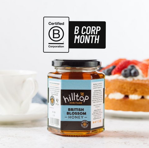 HILLTOP-BCORPMONTH-BLOG-IMAGE