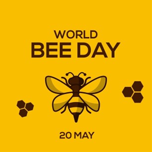 Hilltop-World-Bee-Day-Blog-Image-1