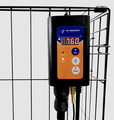 heated whelping kit temp gage