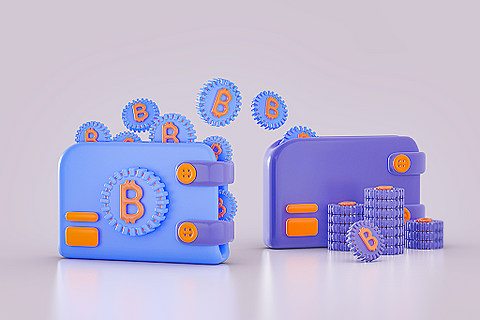 Digital illustration of two wallets with Bitcoin symbols and gears, beside coin stacks.