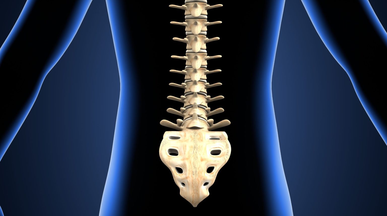 Module 5.  Structural Rehabilitation of the Lumbar Spine - Chiropractic BioPhysics Semina product image