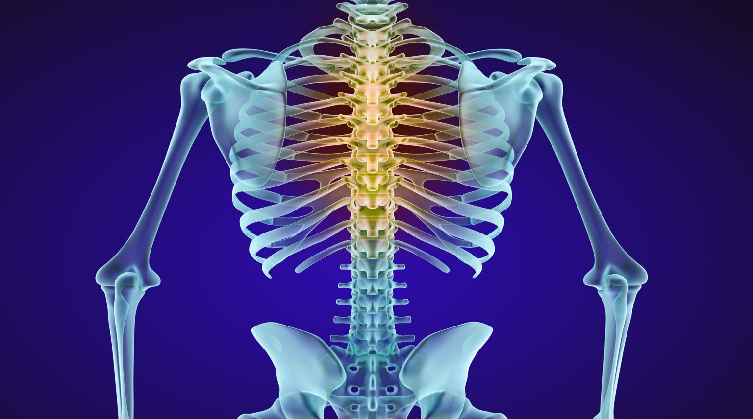 Module 1.  X-Ray, Posture, and Spine - Chiropractic BioPhysics Semina product image