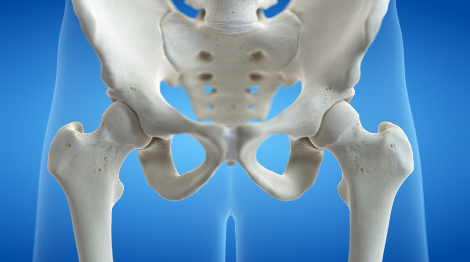 Module 2. CBP® Mirror Image Drop Table Adjusting, Leg Length Inequality, SI-Joint Biomechanics - Chiropractic BioPhysics Semina product image