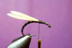 Dry Duckfly tying instructions 4