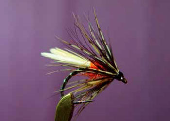 Jimmy Tyrrell's Dry Duckfly Pattern