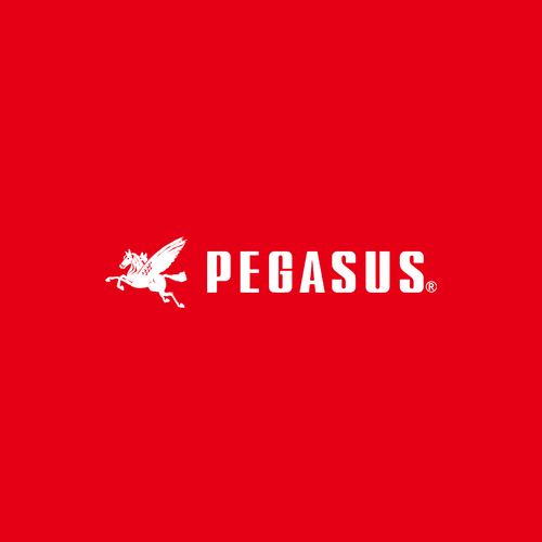 Pegasus