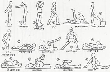 stretching sebelum olahraga
