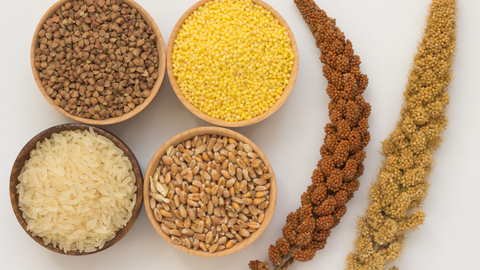 Understanding Millets