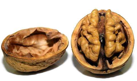 dryfruits benefits