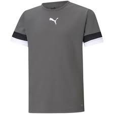 PUMA TEAM RISE JERSEY JR