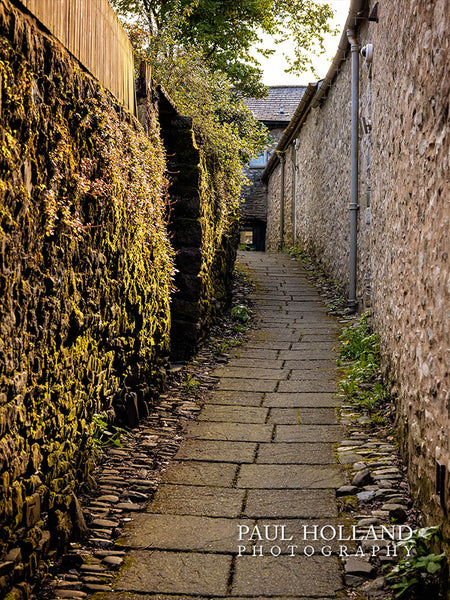 Image shows a narrow pathway
