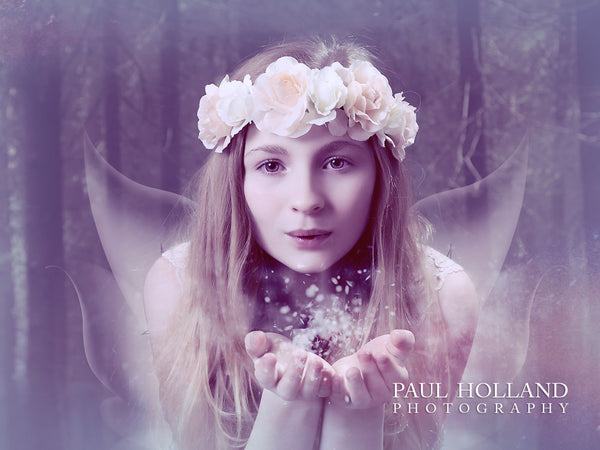 Fairy Art image created by Paul Holland