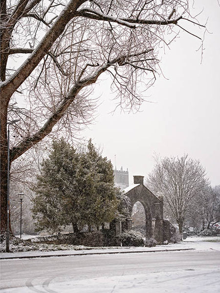 Image shows trees and buildings covered in snow