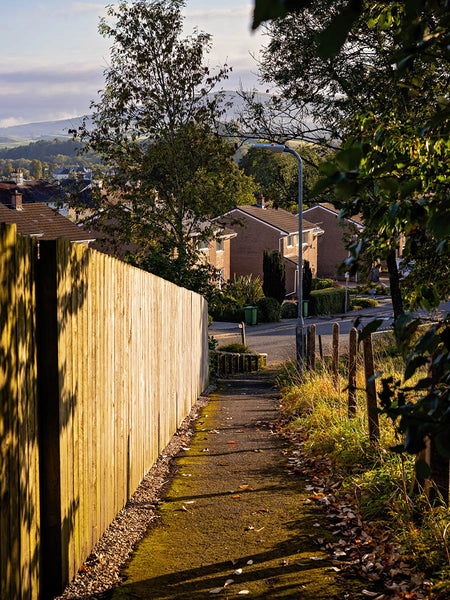 Image shows a leafy short cut between two roads