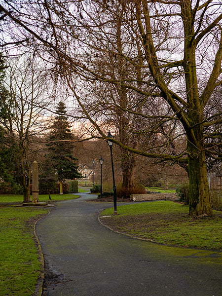 Image shows a path leading through trees in a park at sunset