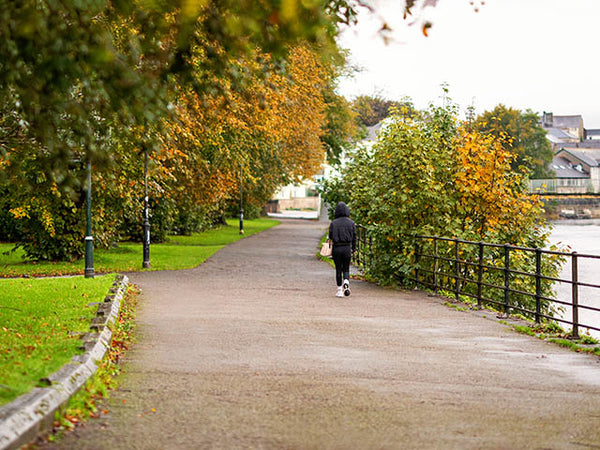 Autumnal image showing the footpath alongside the River Kent