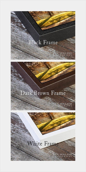 Image shows the black, white and brown frames offered by Paul Holland Photography