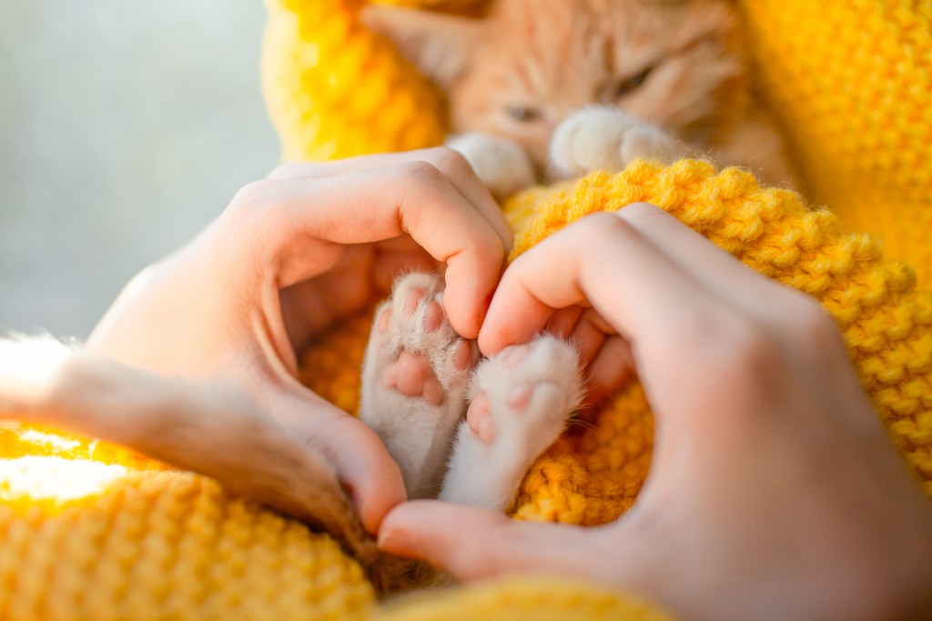 猫好きさん必見！にゃんとも可愛い「猫雑貨」。