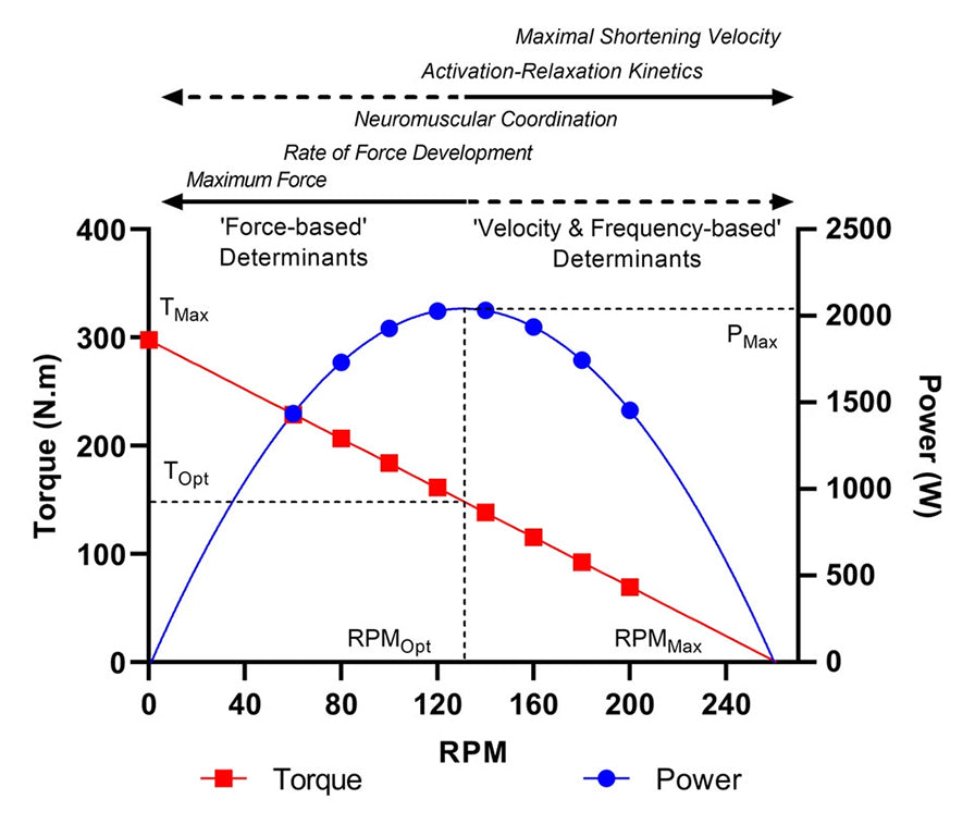 Power and Torque vs RPM for track cycling