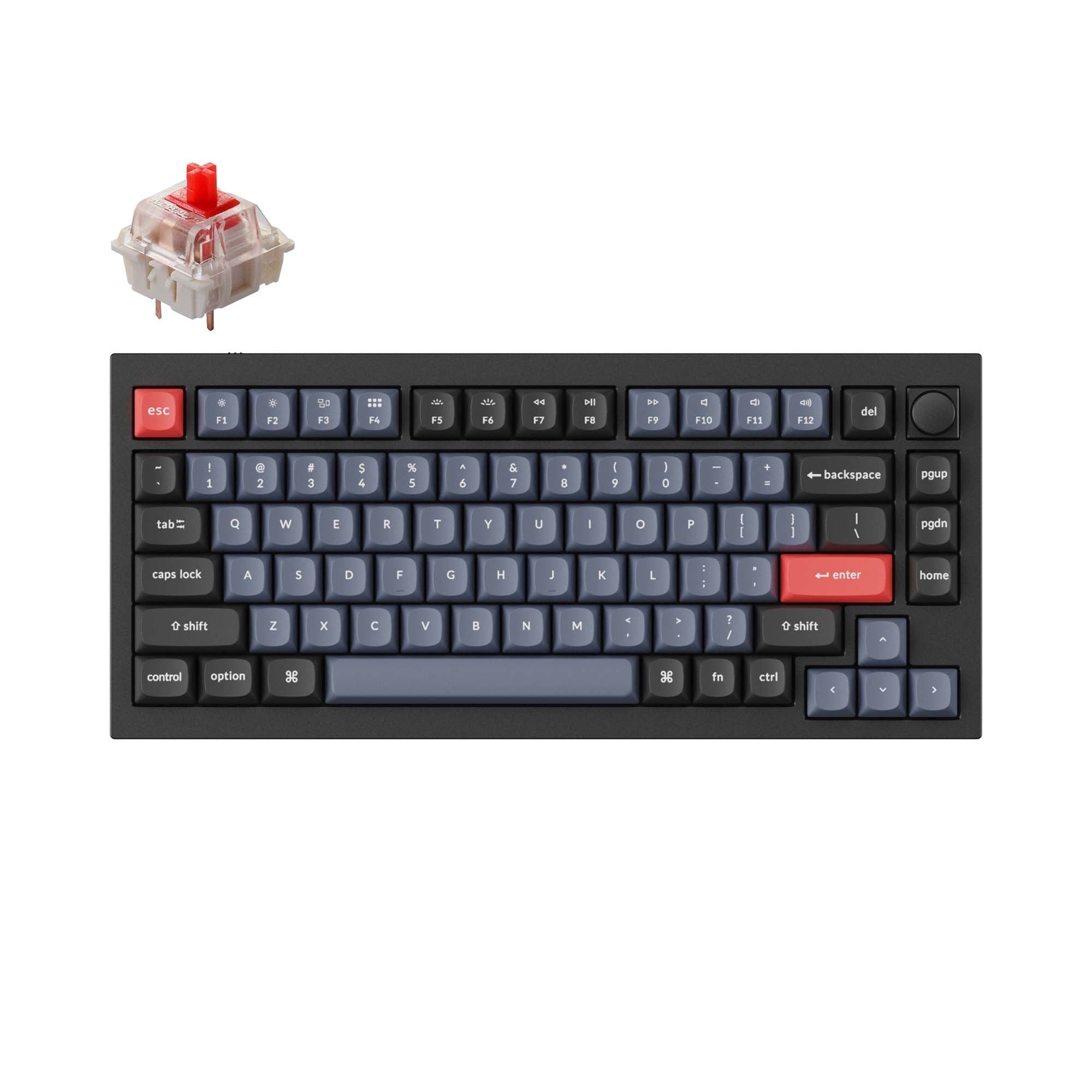 Keychron K1 SE V5 ホットスワップ青軸 JIS RGBライト - www.stedile