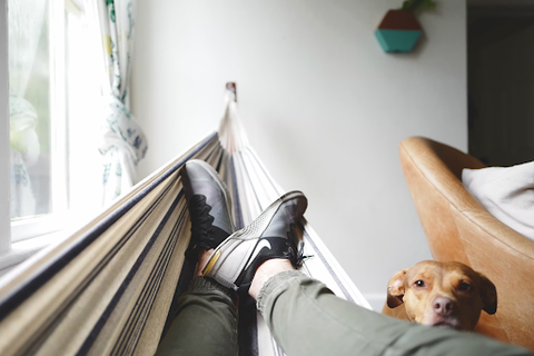 Dog owner relaxing in hammock in apartment with dog nearby.