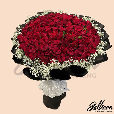 Ever Red (100 Roses) - Gulbaan - Valentine's Day