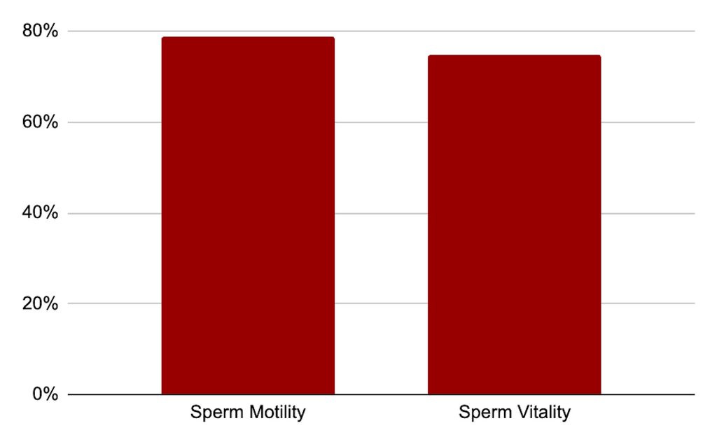 Conceive Plus sperm motility sperm vitality performance 