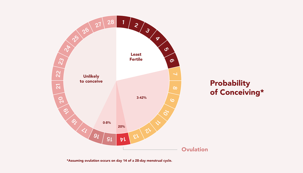 a pie chart of the probability of conception before, during, and after ovulation