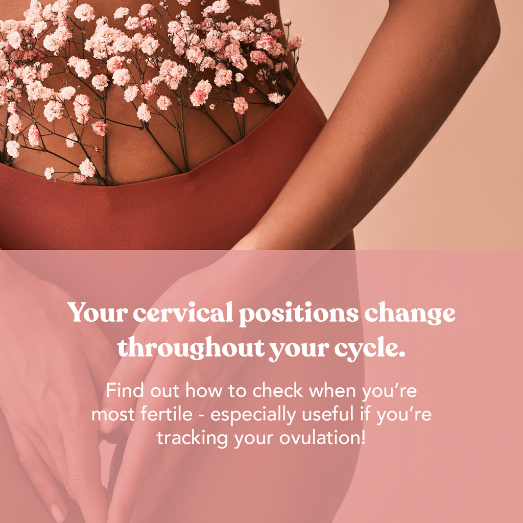 change in cervical position ovulation symptom