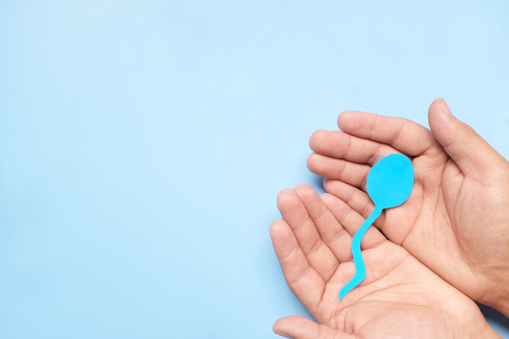 concept of a man's hands holding sperm 