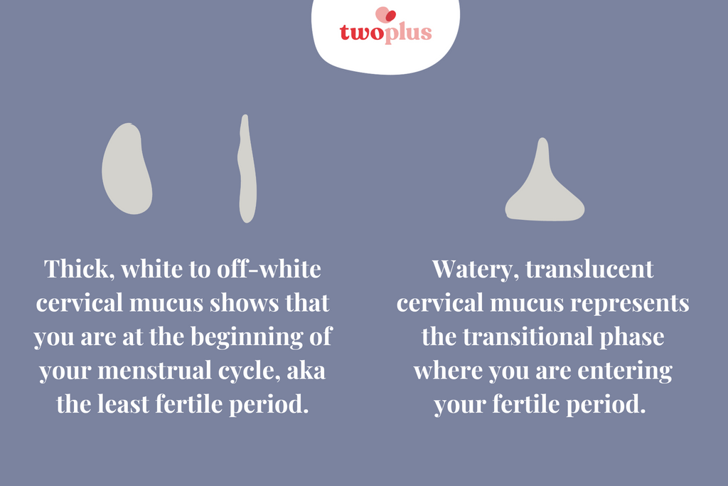 different types of cervical mucus to indicate fertility level